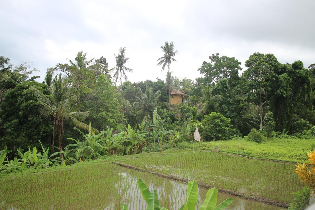 Ubud Sensasi Bungalow Exterior photo
